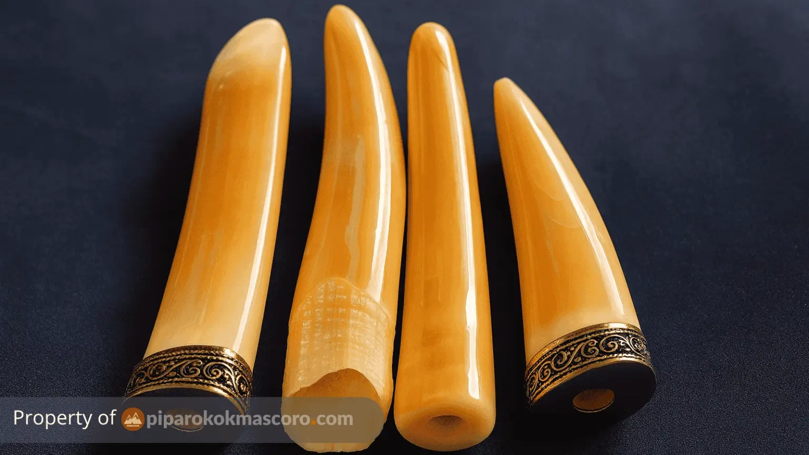 pipa rokok taring duyung