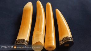 pipa rokok taring duyung