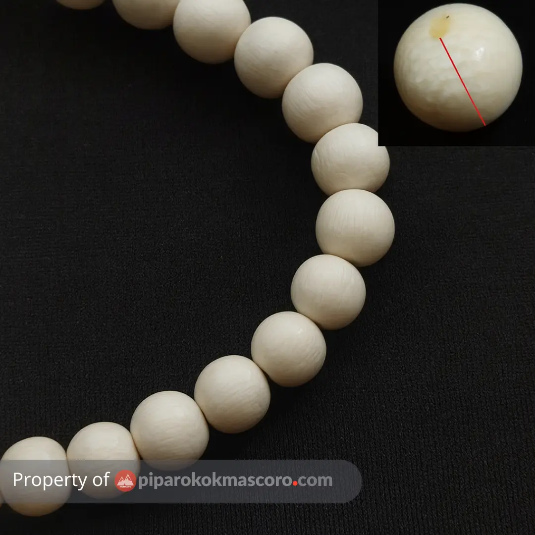 serat gading gajah asli