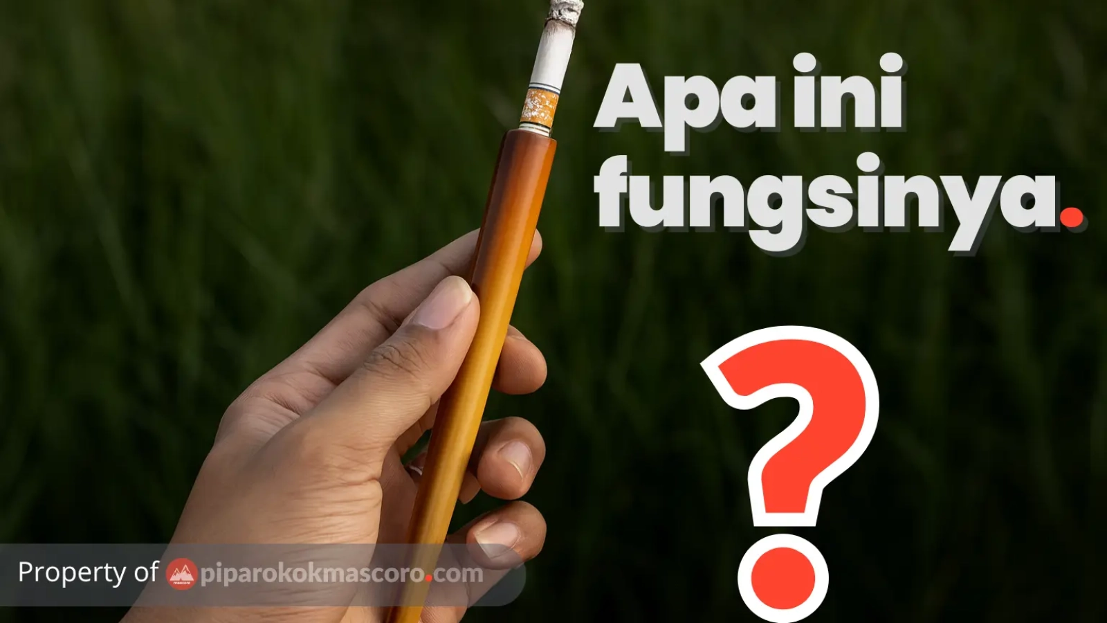Fungsi pipa rokok
