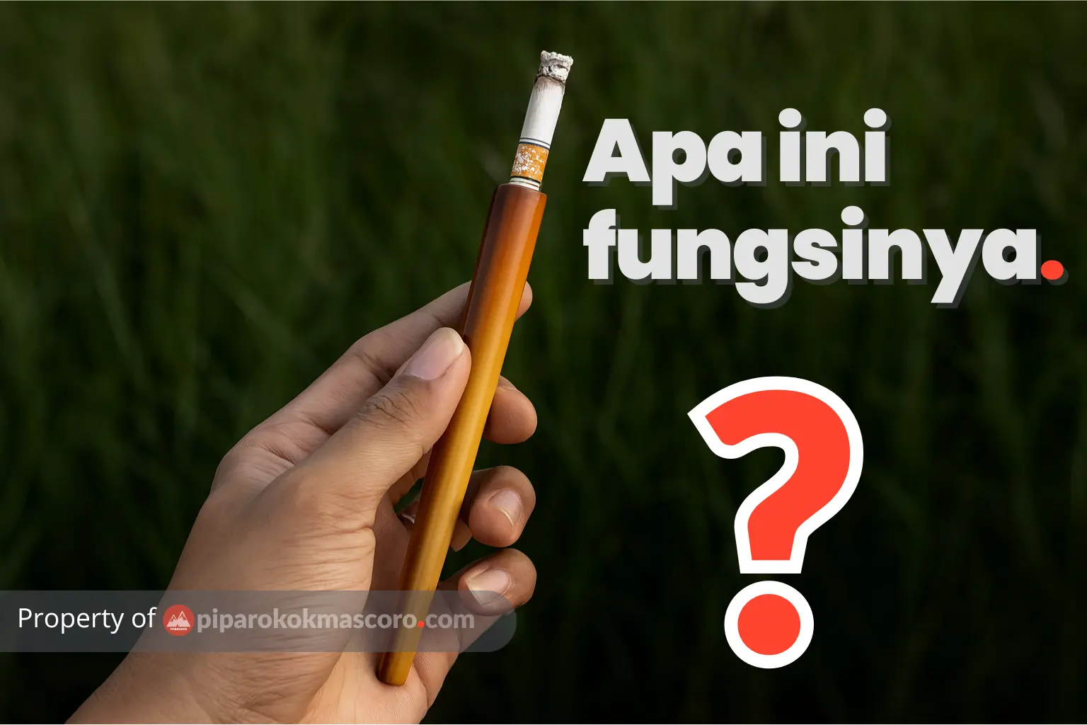 Apa Fungsi Pipa Rokok Filter Yang Banyak dijual di Shopee