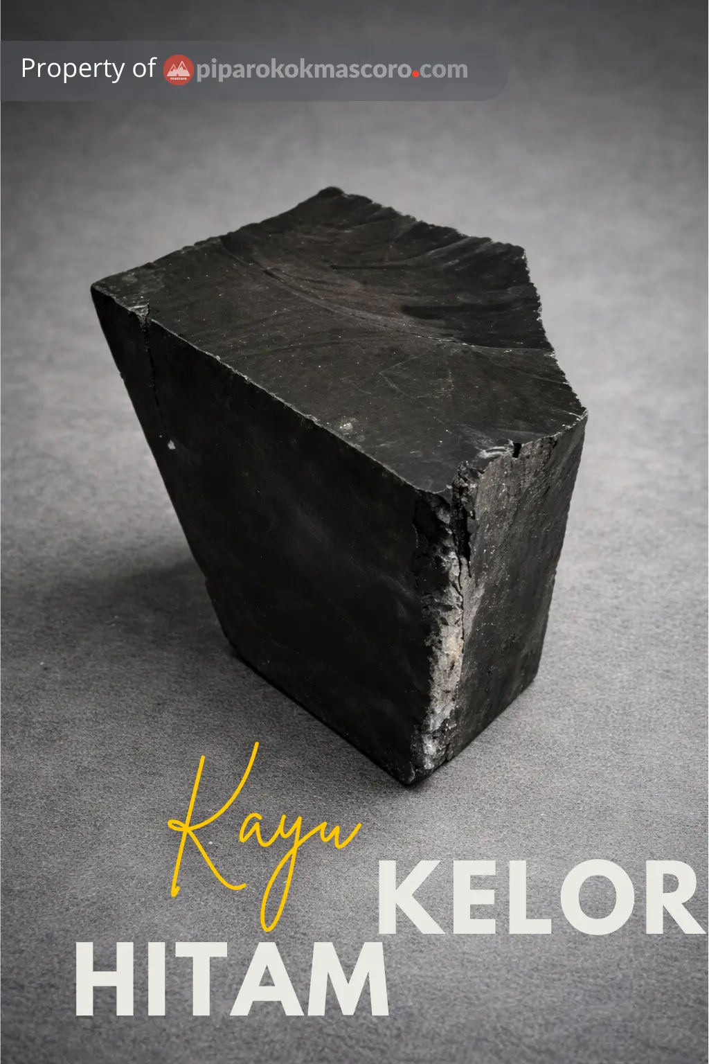 contoh kayu kelor hitam