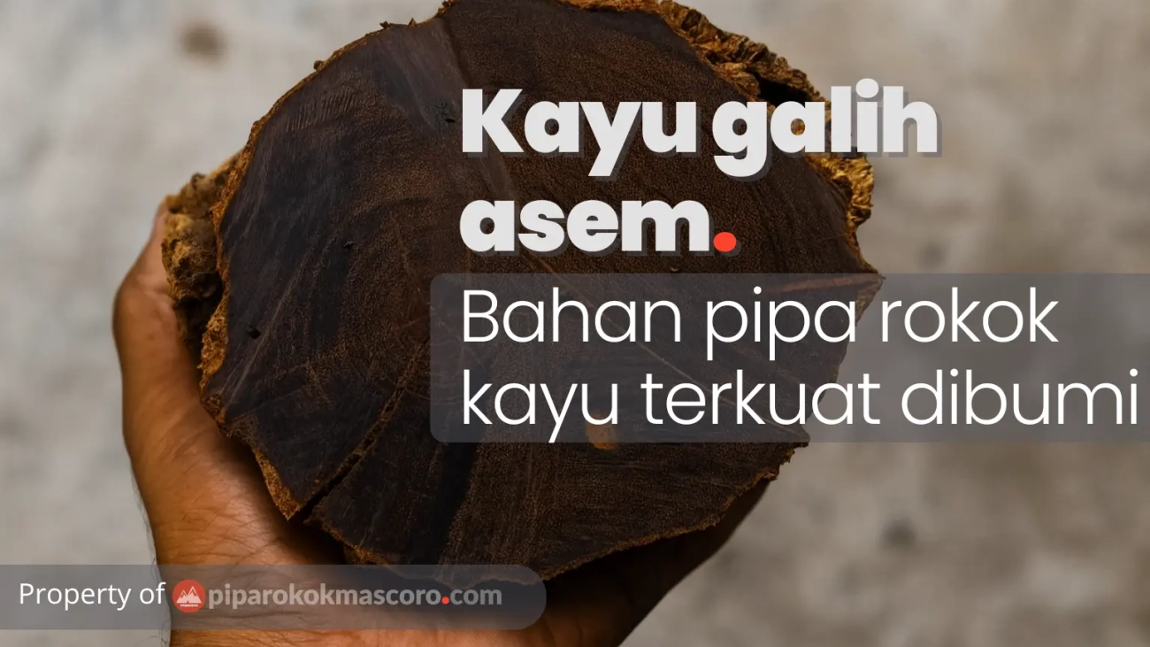 kayu galih asem bahan pipa rokok kayu terkuat dibumi
