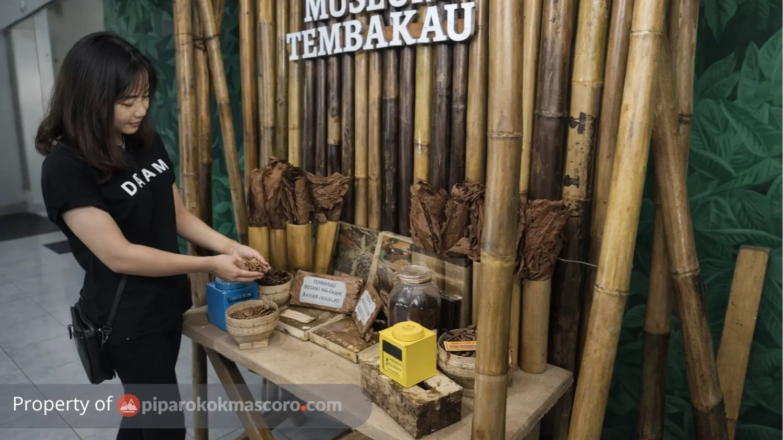 musium tembakau jember