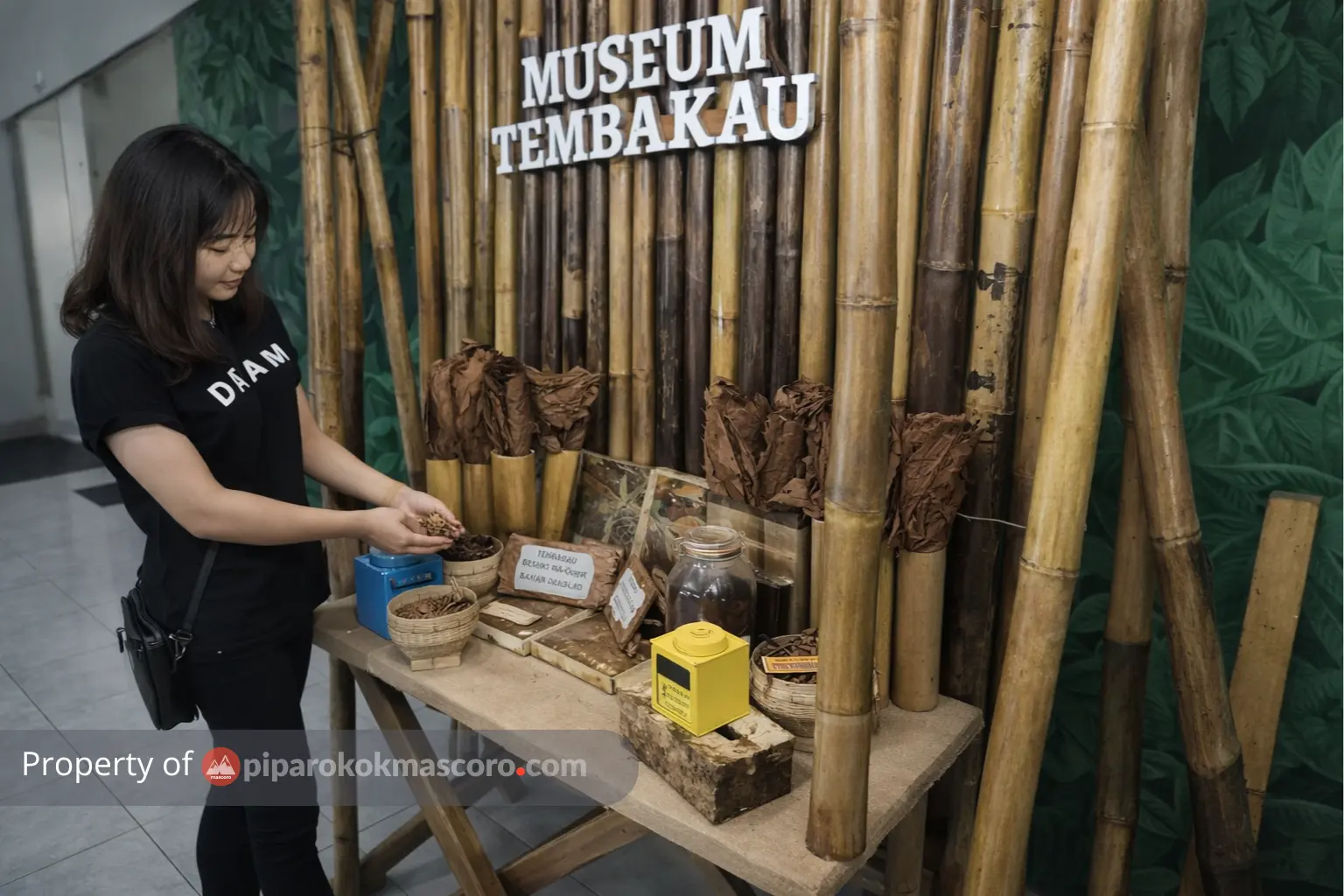 Jember, Kota Tembakau yang Mendunia