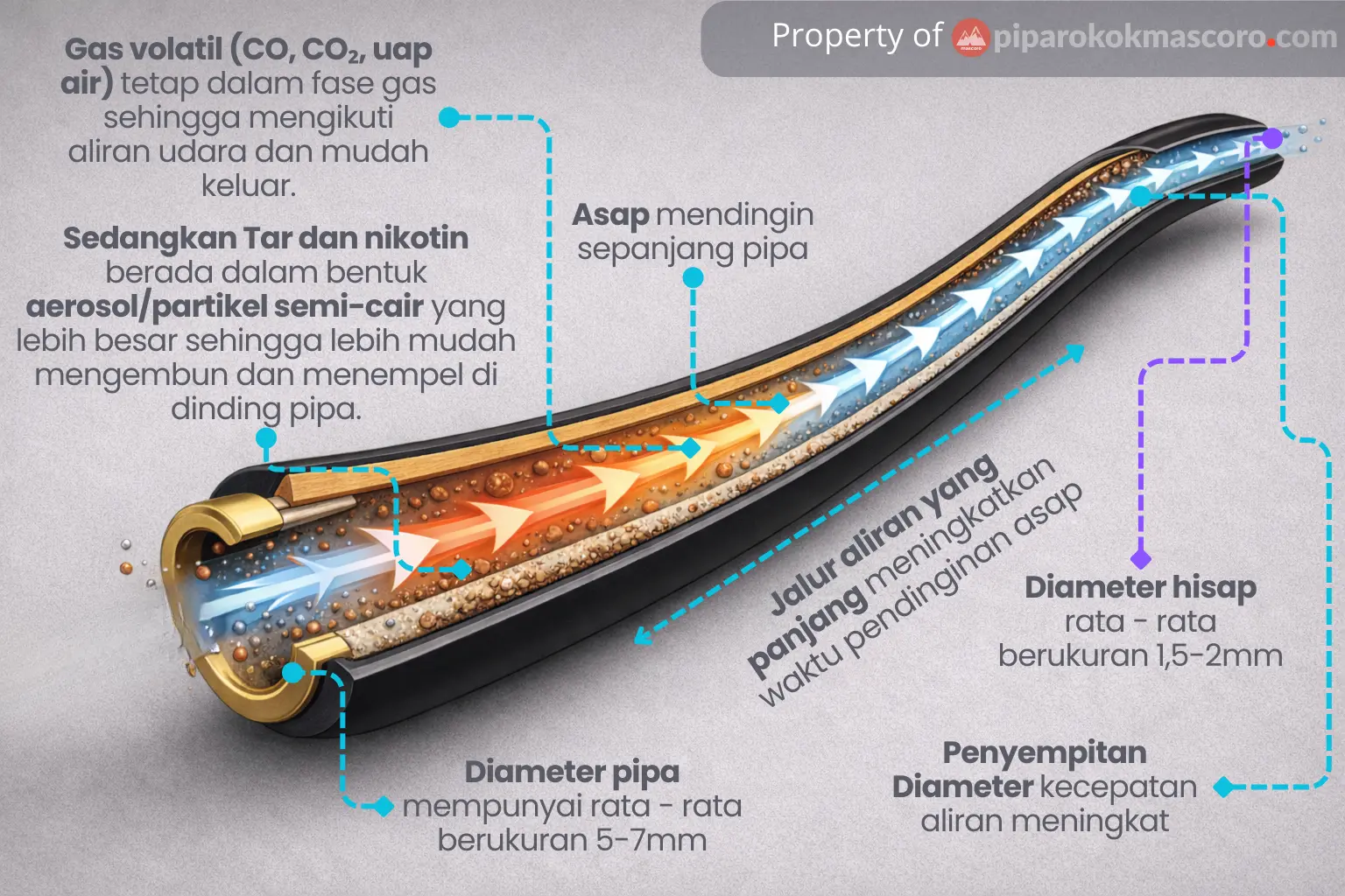 Cara Kerja Pipa Rokok: Banyak Tar Yang Tersaring Pada Pipa?